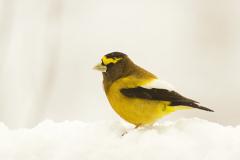 Johnna_070403_0172_.jpg 